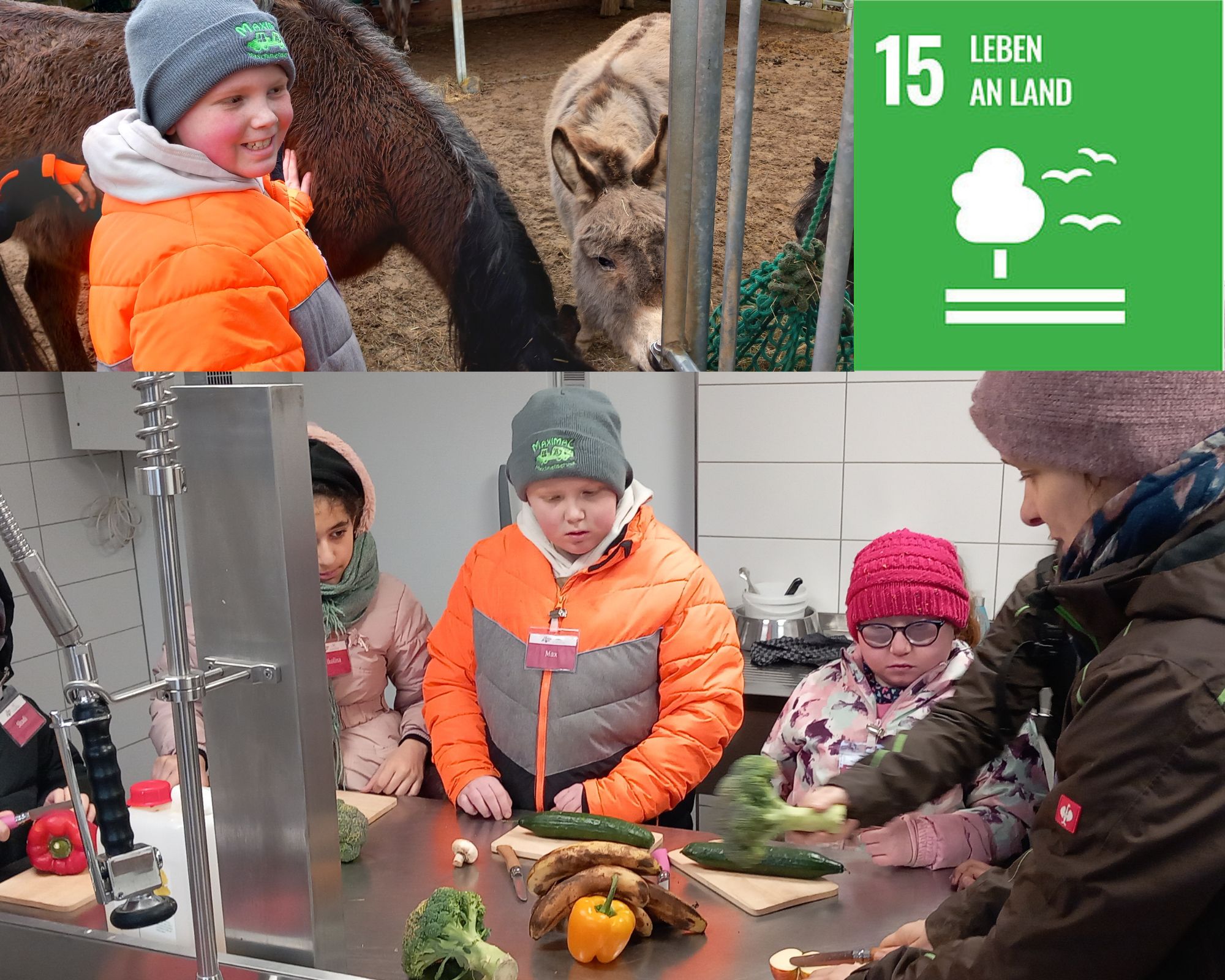 Hubertus-Rader-F&ouml;rderzentrum in Gerolstein - Lernen, Lachen, Wachsen
